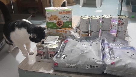 Centrum 1. pomoci pro kočky, z. s.